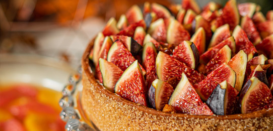 Image d'illustration pour l'offre retraite urbaine molitor